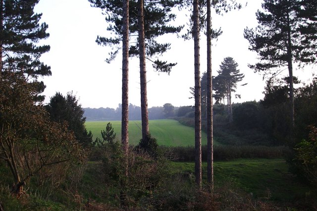 Rendlesham Forest 1980 — O ‘Roswell Britânico’