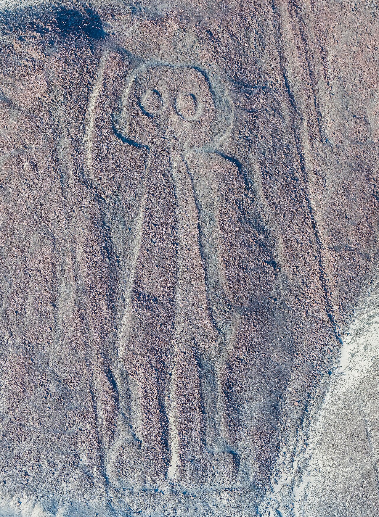 As Linhas de Nazca: Geoglifos Que Só Fazem Sentido do Céu