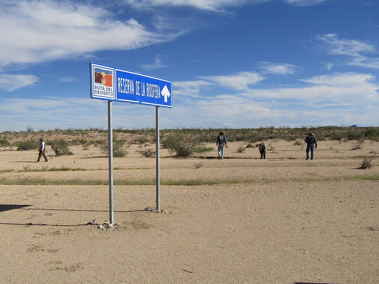 A Zona do Silêncio: O Triângulo das Bermudas do Deserto