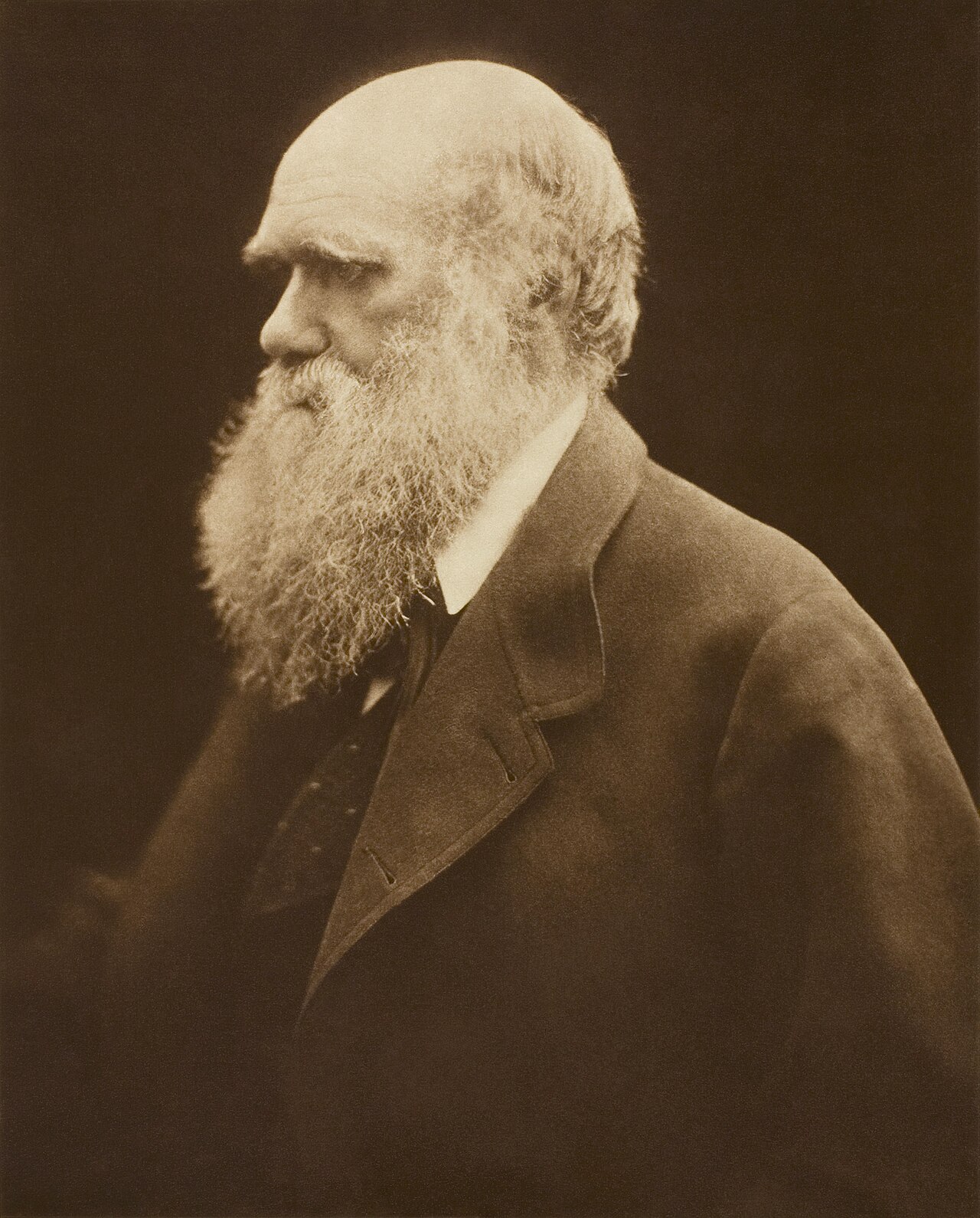 Charles Darwin: o naturalista que respondeu a pergunta mais antiga da humanidade