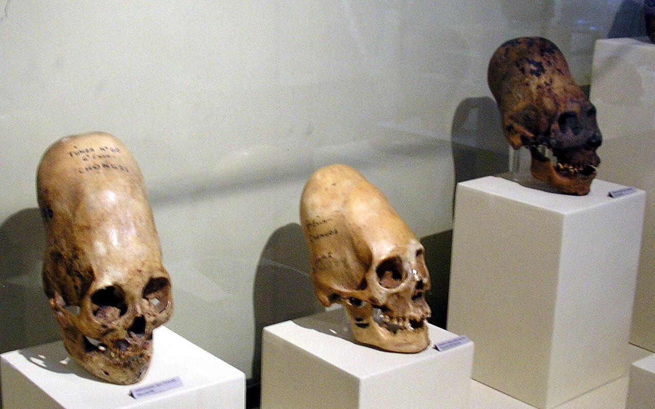 Os crânios alongados de Paracas — deformação cultural ou outra espécie?
