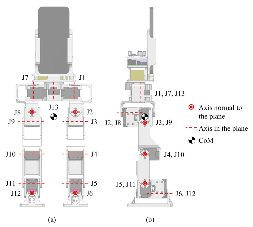 Desenho técnico do robô PhoneBot de frente e de lado, com um celular no tronco e as 13 juntas numeradas de J1 a J13