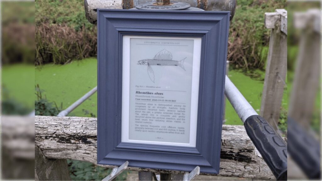 Moldura com tela E Ink mostrando a ilustração de um peixe inventado e sua descrição científica, apoiada numa cerca de madeira ao ar livre