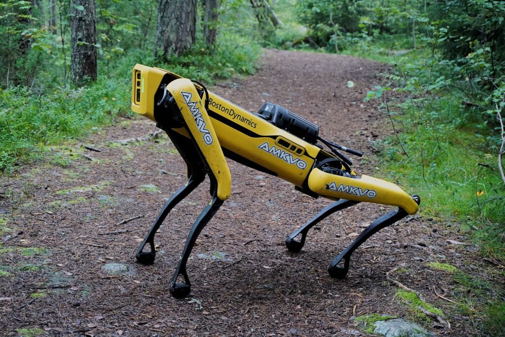 Robô quadrúpede amarelo Spot, da Boston Dynamics, em pé numa trilha de terra dentro de uma floresta